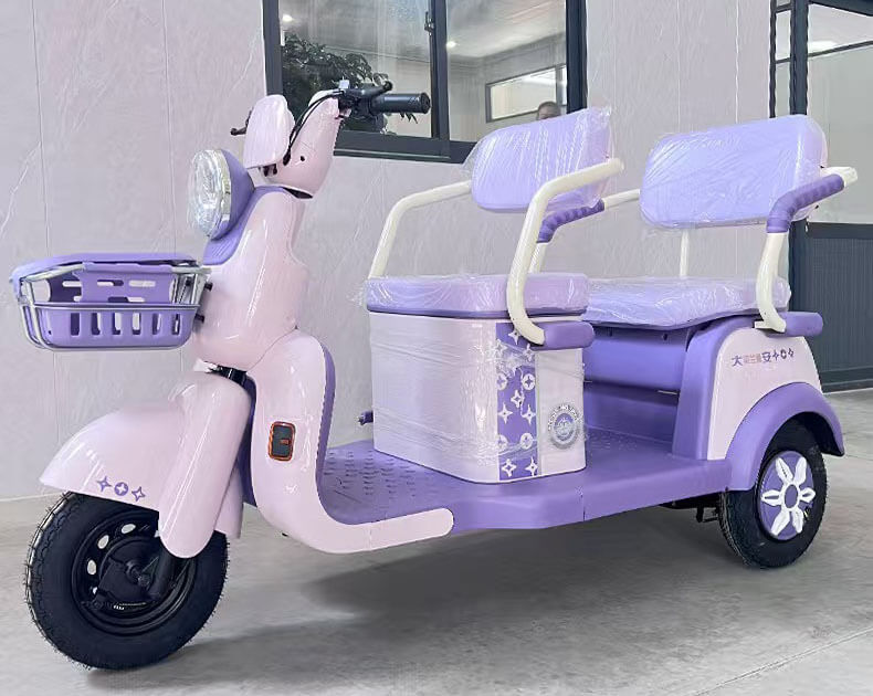 Tricycle électrique pour passagers TKW-GD01