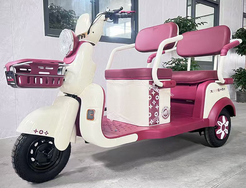 Tricycle électrique pour passagers TKW-GD01